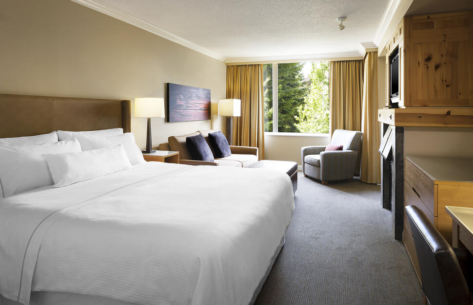 Deluxe Studio Suite
