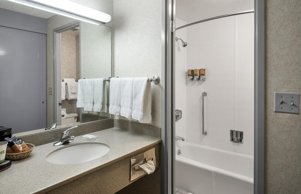 Guest bathroom