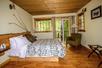 King Forest Room