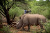 Bush Braai