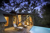 Treetop Suite
