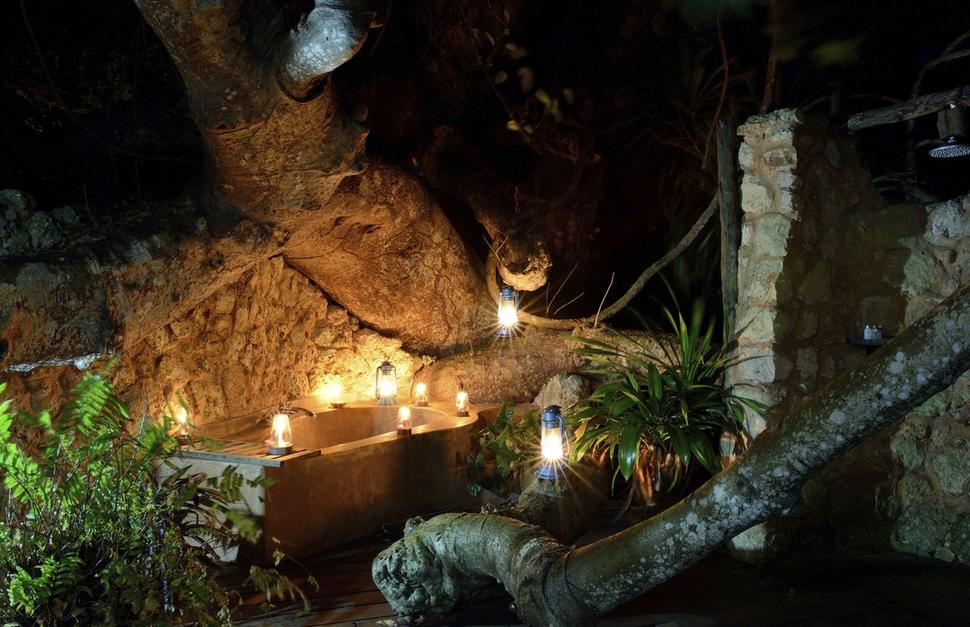 Baobab Suite