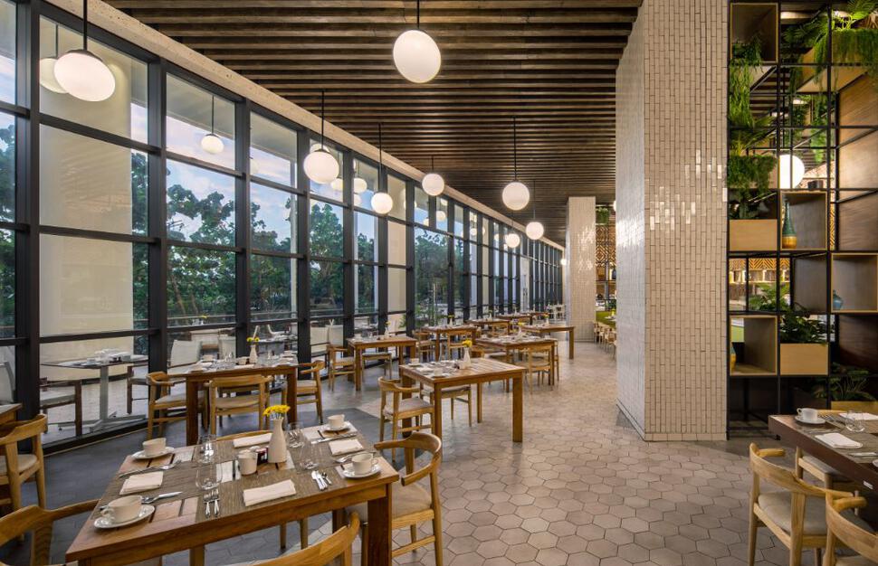 Mercado 19