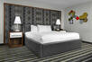 Luxury Suite
