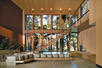 Healing Arts Centre