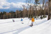 Skiing at Bretton Woods