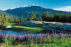 Whistler
