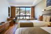 Standard Mountain Facing Room