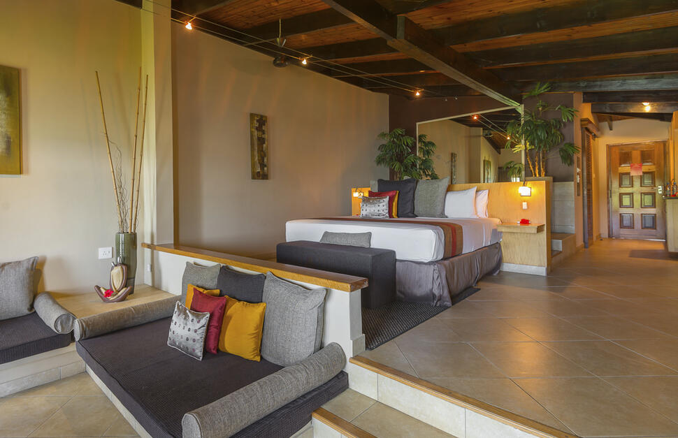 Black Parrot Junior Suite