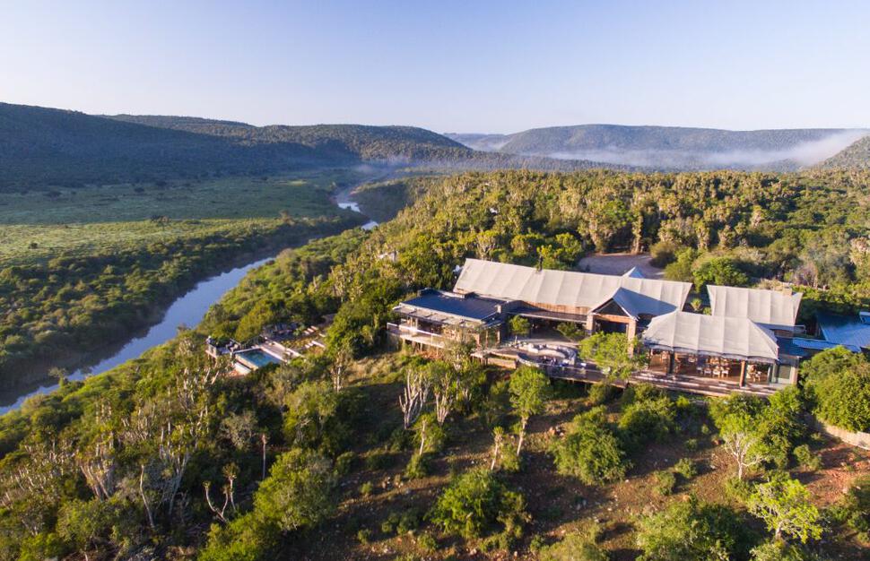 Guided Bush Walk