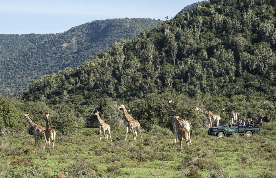Ukhozi Lodge
