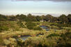 River Lodge with Sabie River View