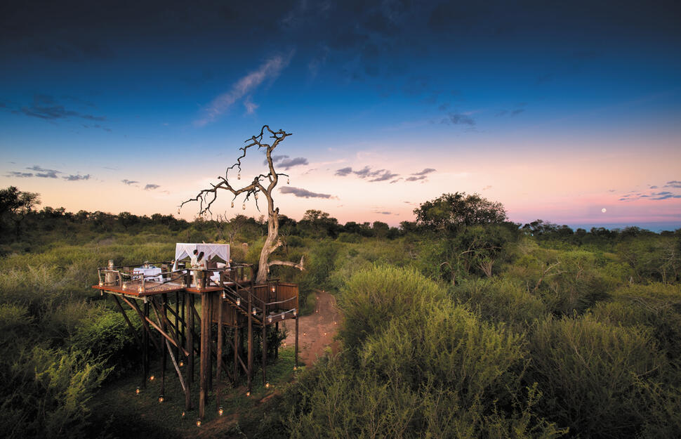 Luxurious Treehouse Experience