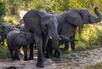 Rangers and Trackers, Ulusaba Private Game Reserve - Safari Lodge, South Africa