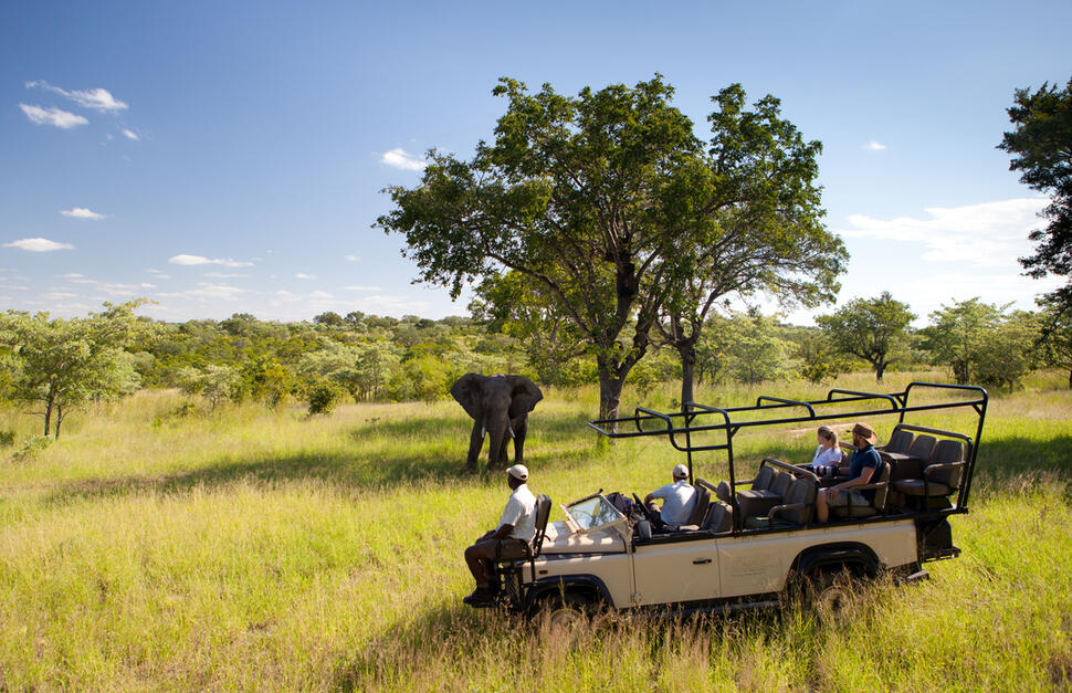 Safari Lodge Pool, Ulusaba Private Game Reserve - Safari Lodge, South Africa