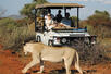 Game drive