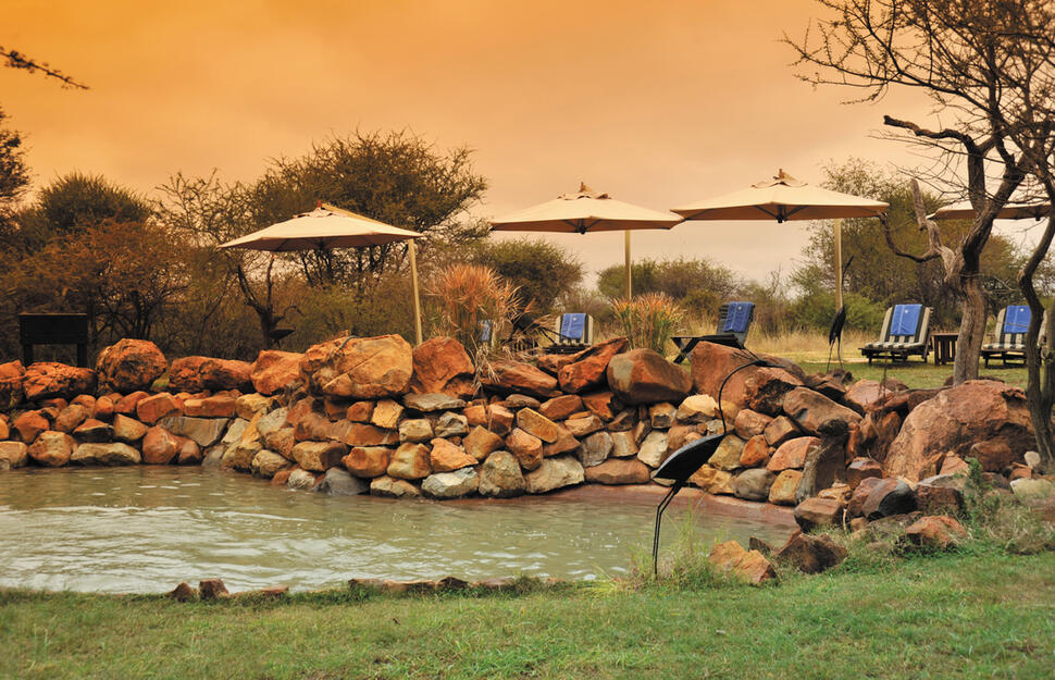 Swimming Pool, Madikwe River Lodge, Madikwe Game Reserve, Johannesburg, South Africa, Africa