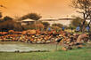 Swimming Pool, Madikwe River Lodge, Madikwe Game Reserve, Johannesburg, South Africa, Africa