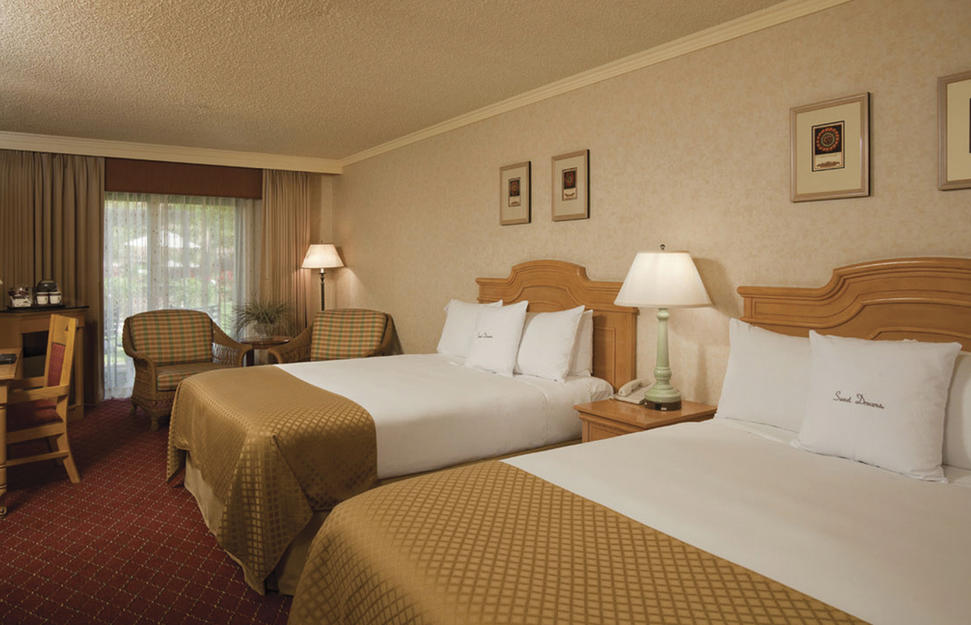 Standard Double Room