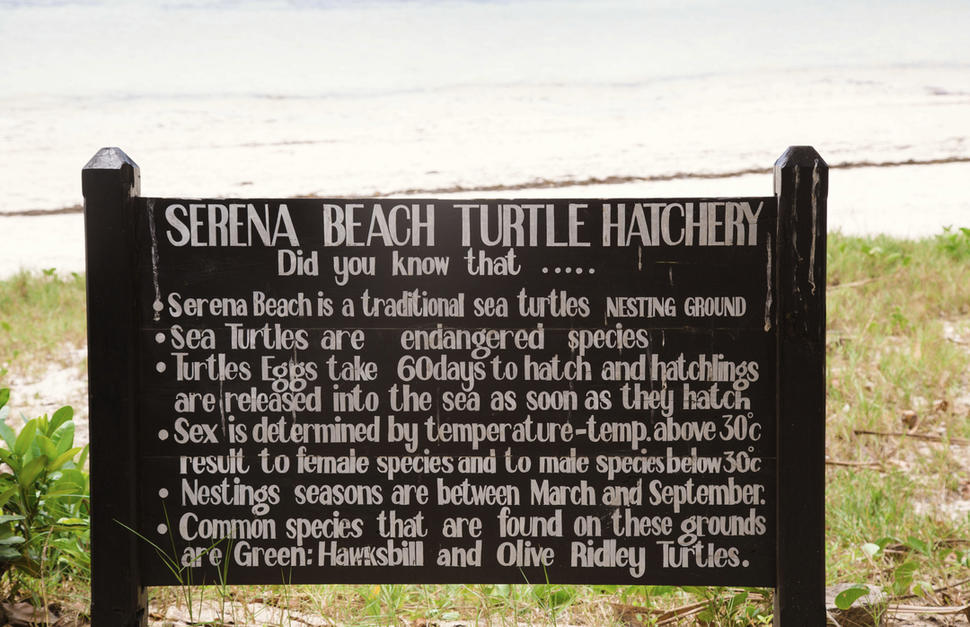 Turtle conservation
