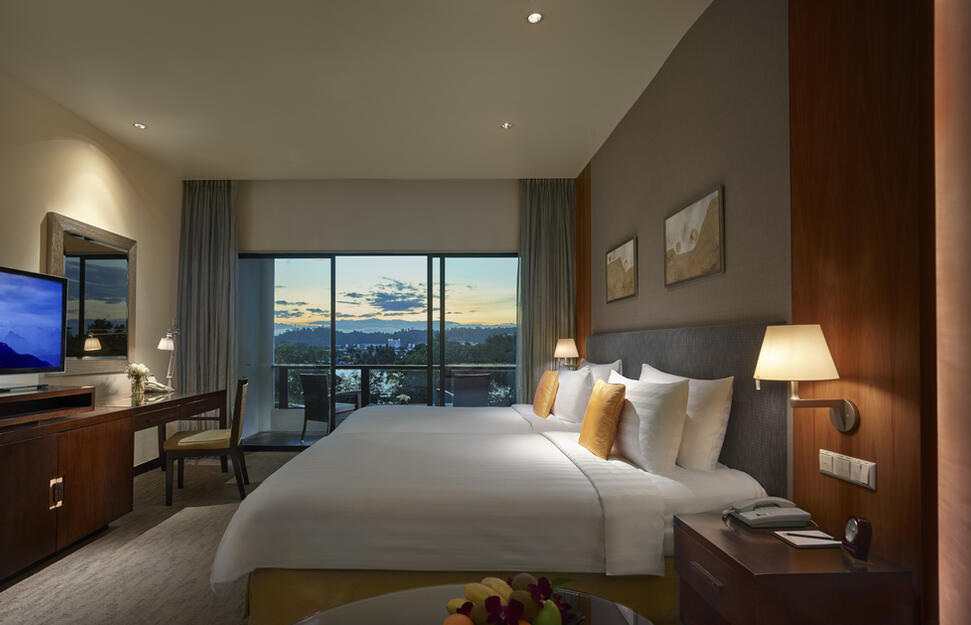 Mountain View Room
