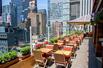 Haven Rooftop