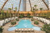The Pool