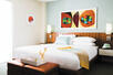 City View King Room