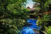 Garden Pool