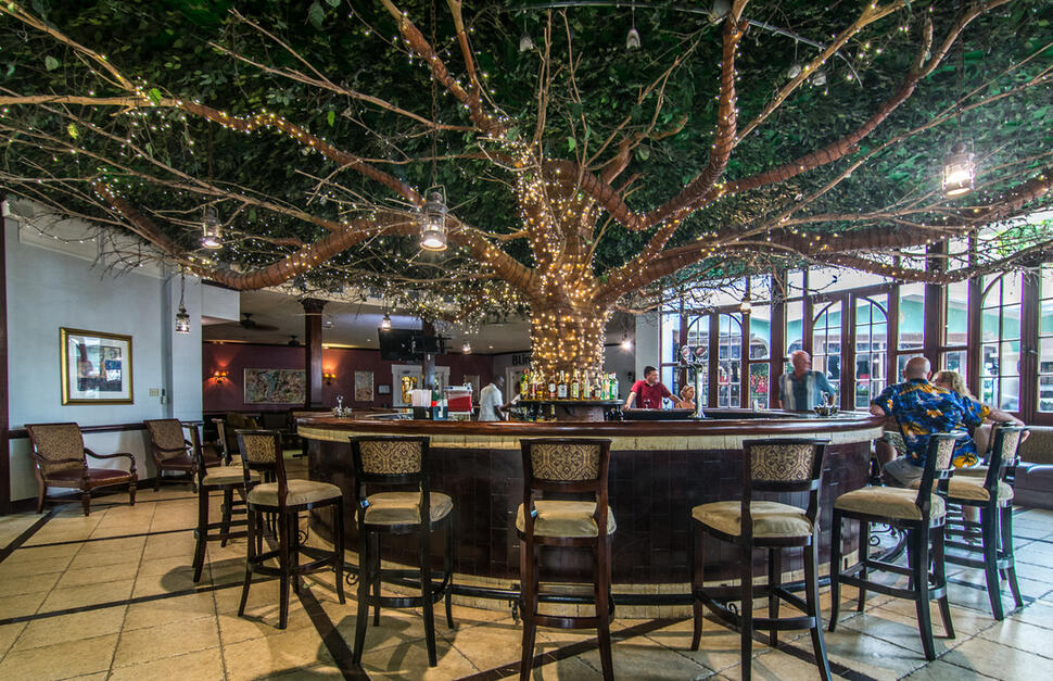 Tree Bar