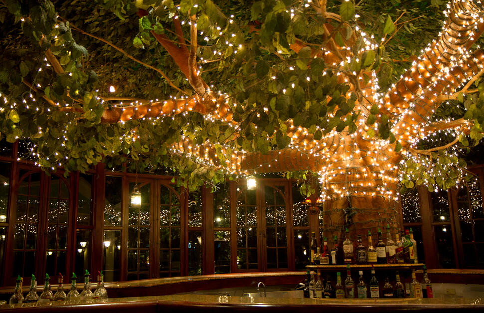 Emerald Tree Lounge