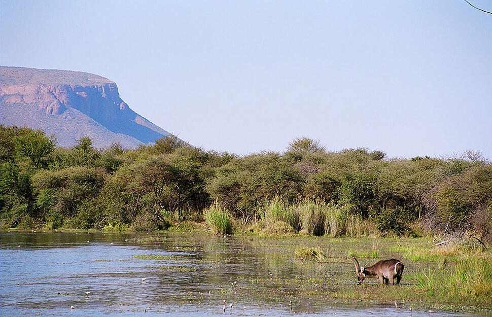Marataba Safari Lodge