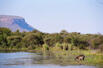 Marataba Safari Lodge