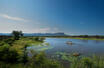 Water Safari at Marataba Safari Lodge, Marakele National Park