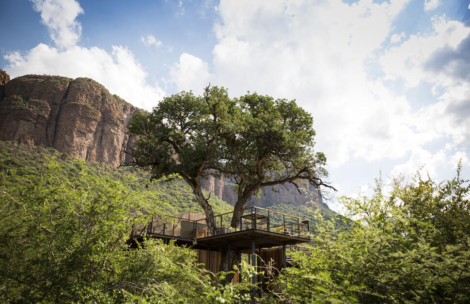 Thabametsi Treehouse