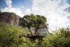 Thabametsi Treehouse