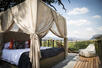 Thabametsi Treehouse