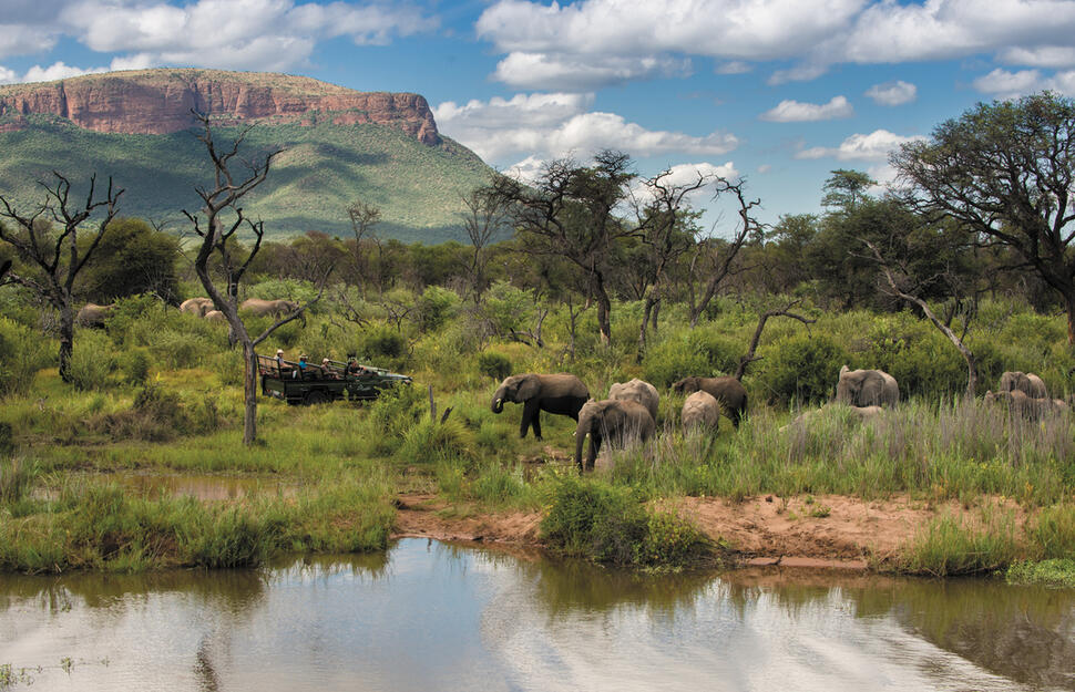 Safari Experiences, Marataba Safari Lodge, Marakele National Park