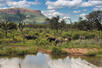 Safari Experiences, Marataba Safari Lodge, Marakele National Park
