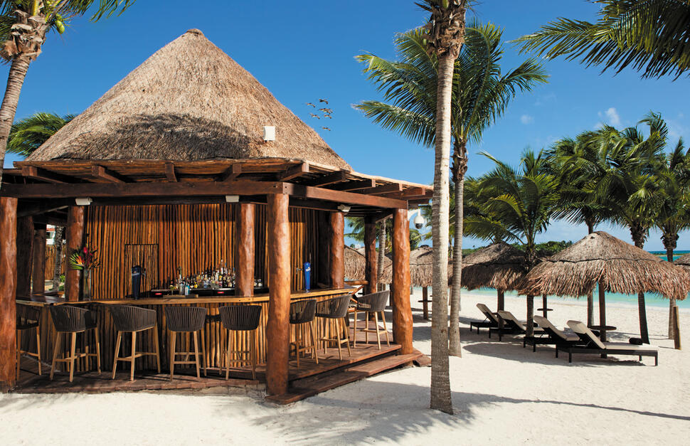 Barracuda Bar