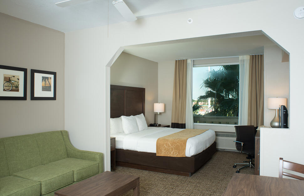 Standard Suite