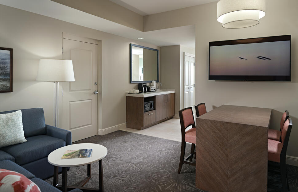 Typical Studio Suite Living area