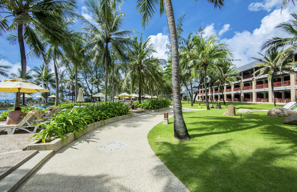 Coconut Bar