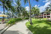 Coconut Bar