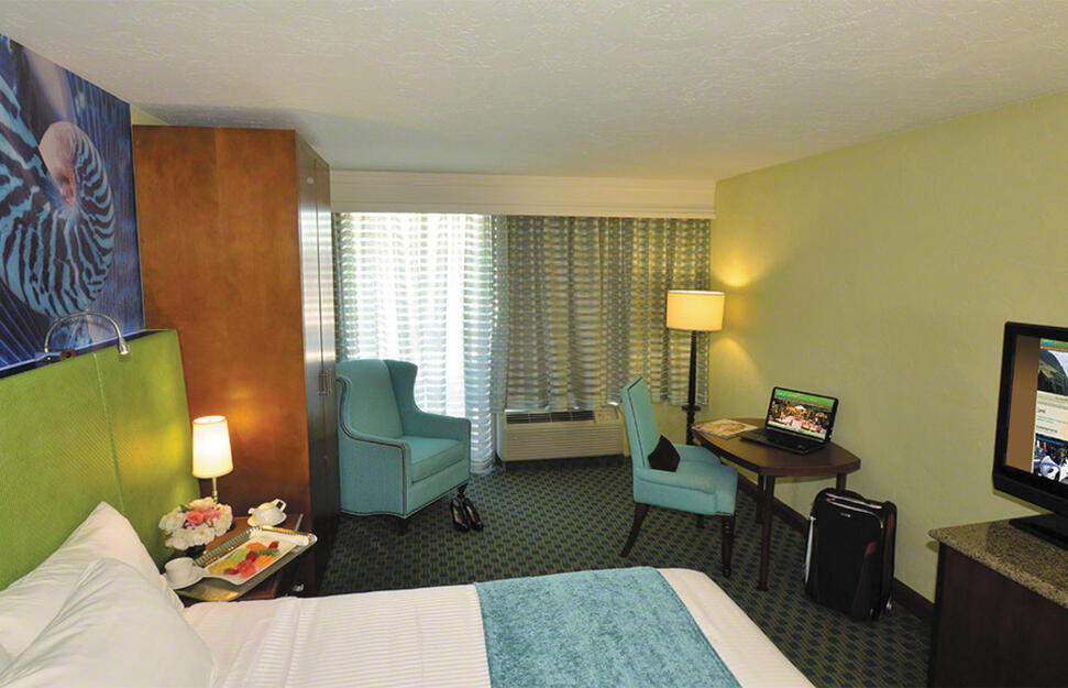 Standard King Room