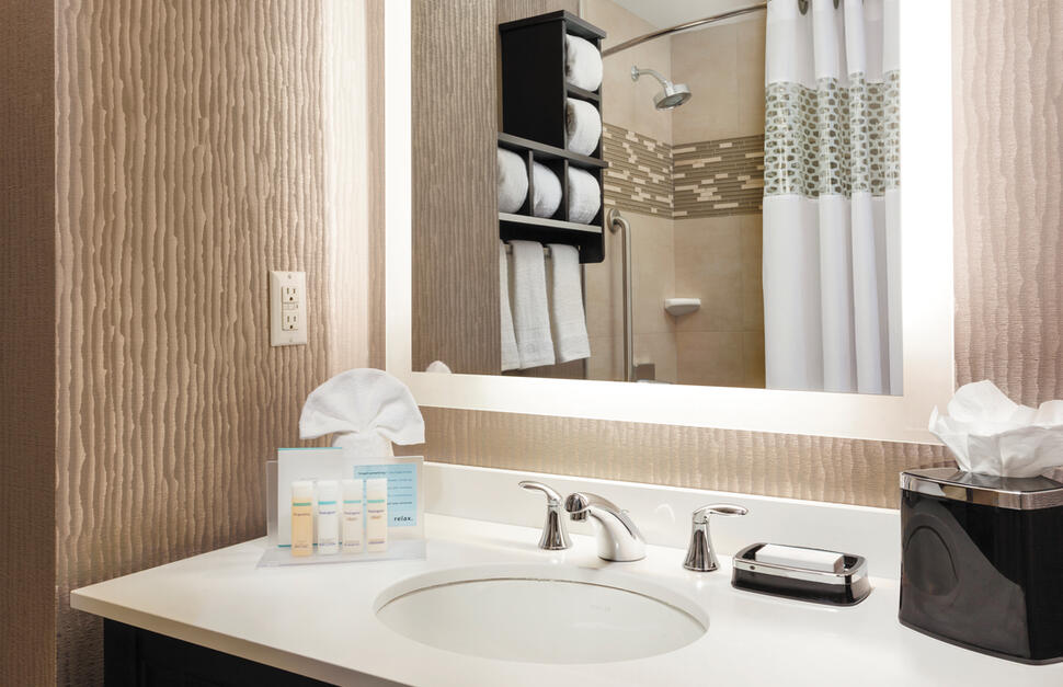 Bathroom, Hampton Inn Times Square Central, New York, East Coast, USA