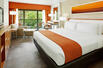 Standard King Guestroom