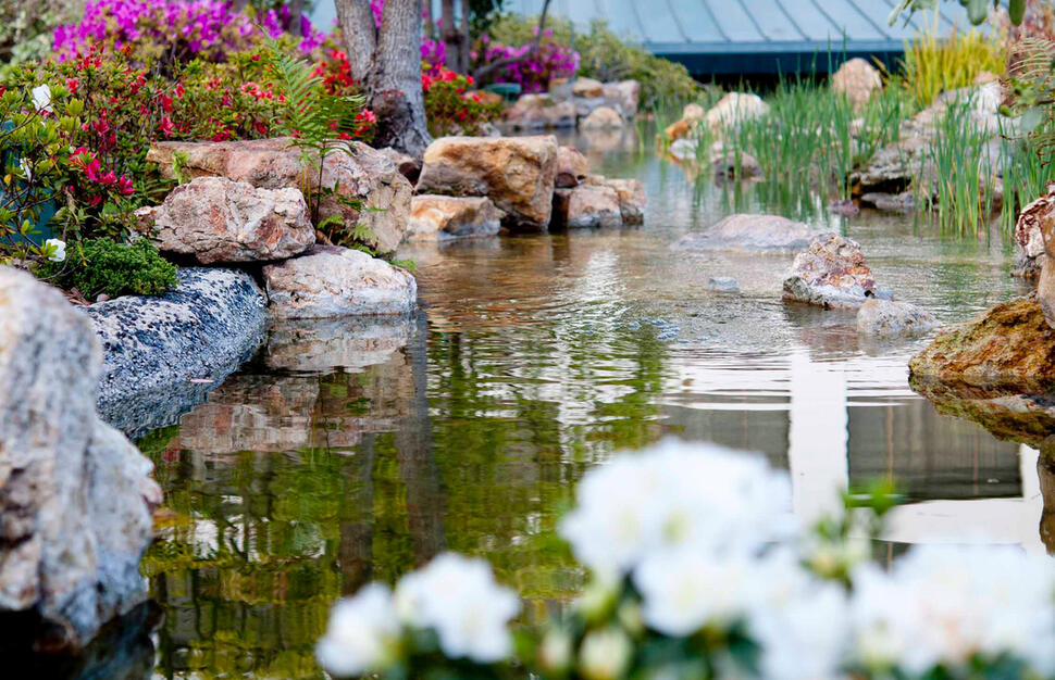Kyoto Gardens
