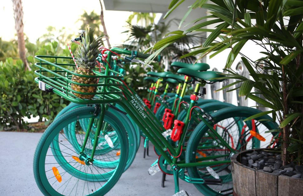cycles, hotel exterior, garden