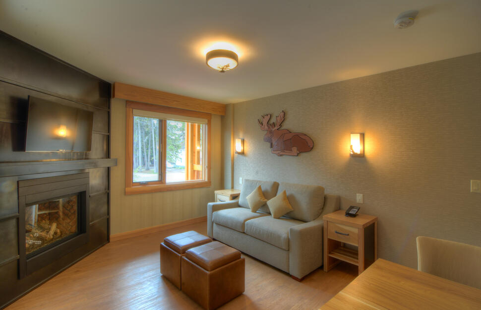 1 Bedroom Suite Living Room